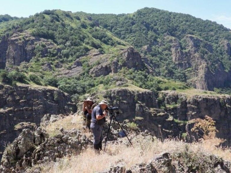 В Армении завершилась перепись безоаровых коз в рамках программы сохранения леопардов