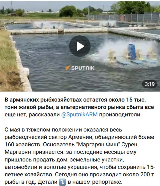 Армянские рыбоводы столкнулись с кризисом из-за российских ограничений